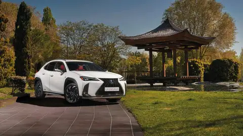 Lexus UX 250h Engawa Lexus UX 250h Engawa