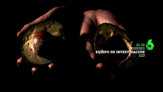 Aguacate: 'el oro verde', en Equipo de Investigaci&oacute;n
