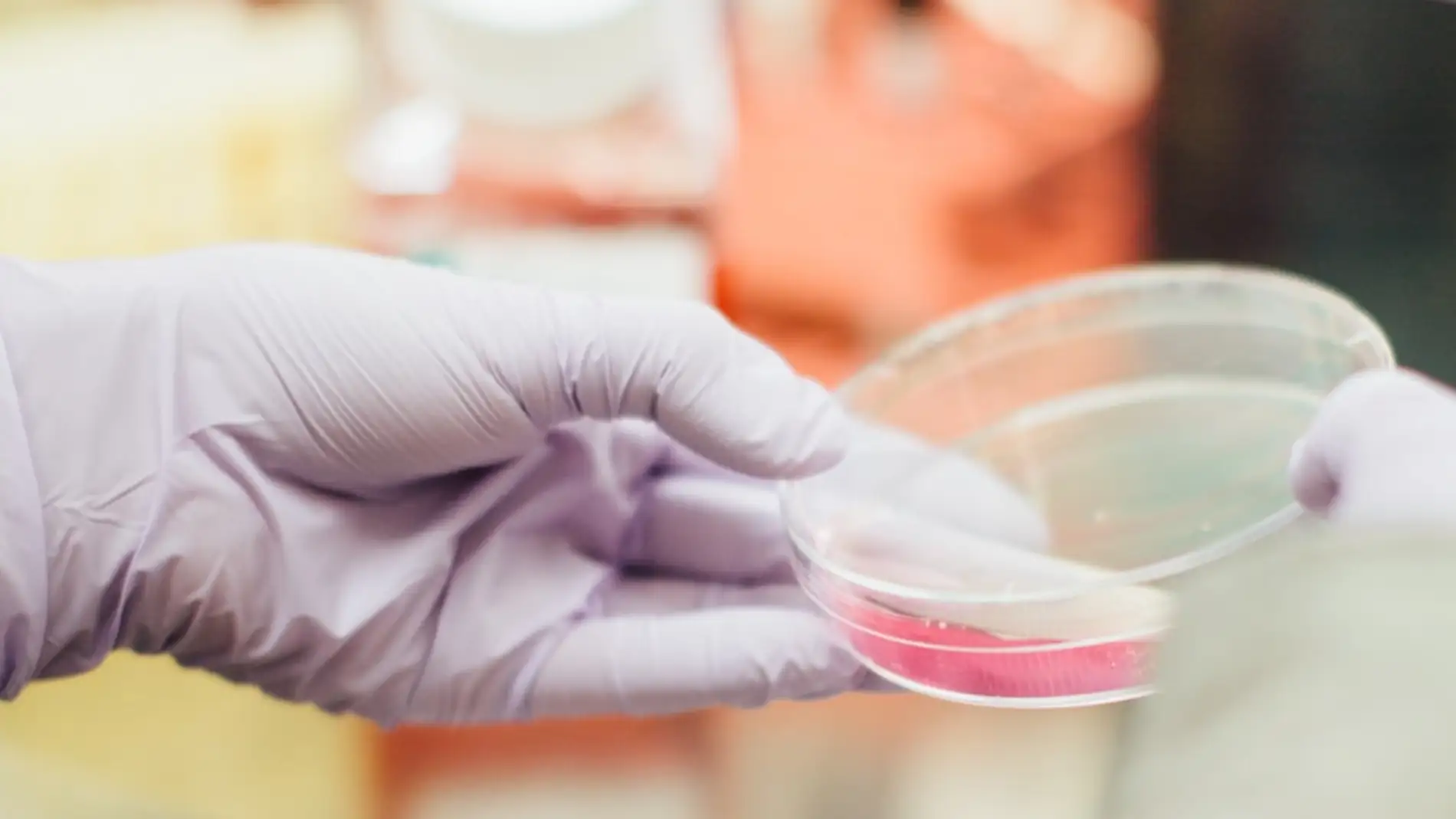 Disenan y patentan una terapia genica con alto potencial antitumoral