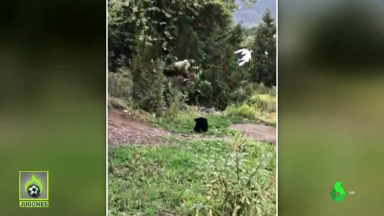 Un ciclista se encuentra con un oso y realiza un enorme salto para esquivarle Un ciclista se encuentra con un oso y realiza un enorme salto para esquivarle