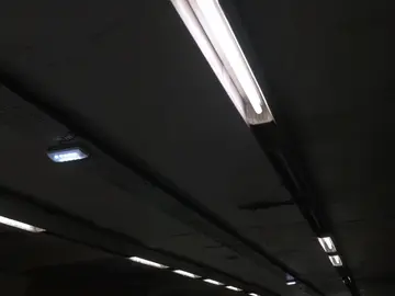 ¿Por qué debes mantenerte alejado de un tubo fluorescente si se rompe? ¿Por qué debes mantenerte alejado de un tubo fluorescente si se rompe?