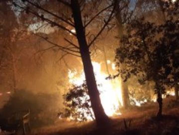 Imagen del incendio declarado en Casares, Málaga Imagen del incendio declarado en Casares, Málaga