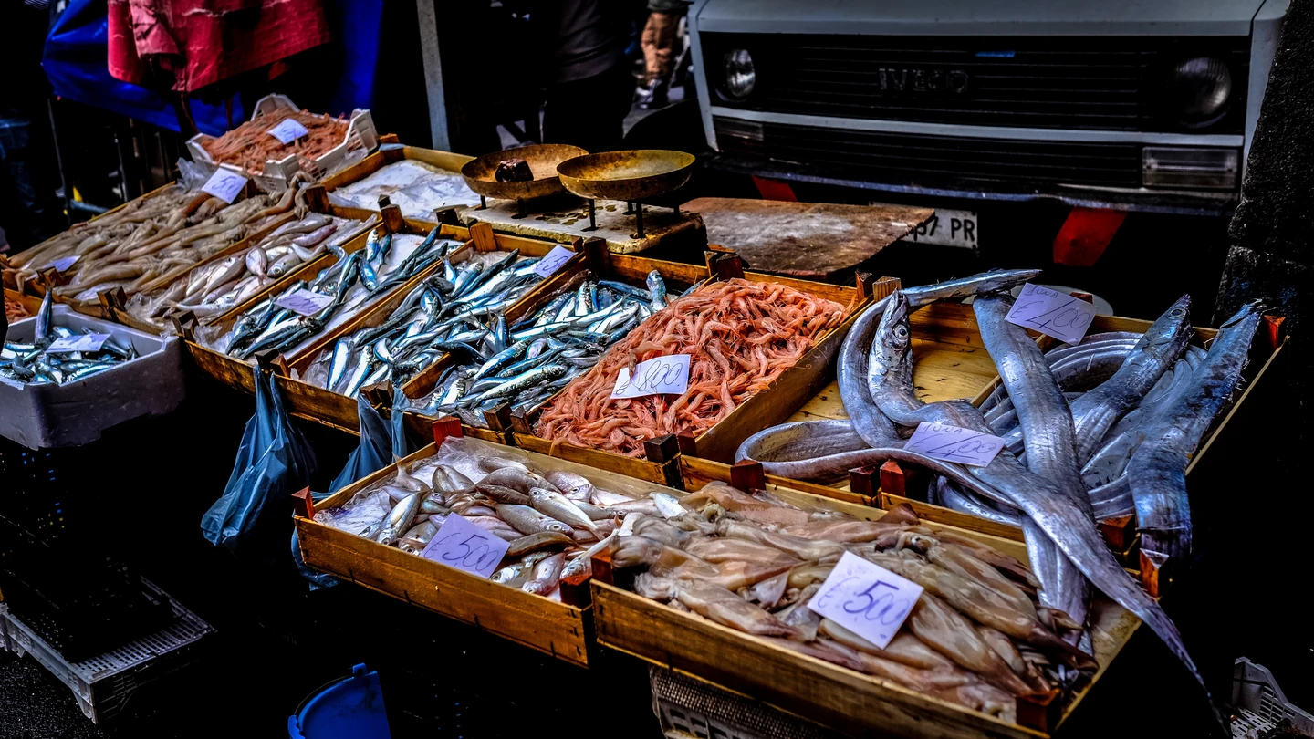 Mostrador de una pescadería Mostrador de una pescadería con diferentes pescados expuestos en cajas.