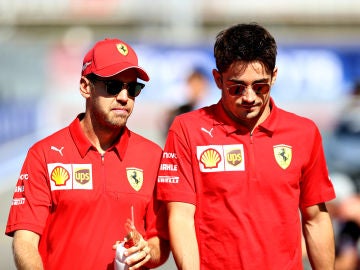 Vettel y Leclerc dialogan antes de un Gran Premio