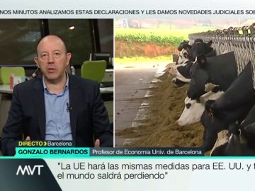 Gonzalo Bernardos: "La UE tomará las mismas medidas que Estados Unidos y todos saldremos perdiendo" Gonzalo Bernardos: "La UE tomará las mismas medidas que Estados Unidos y todos saldremos perdiendo"