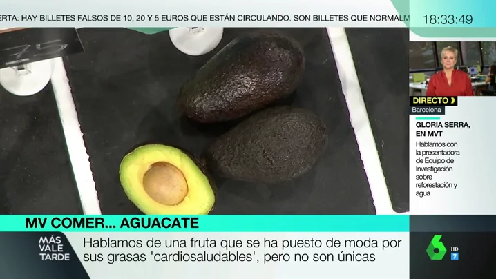 Desmontamos los bulos sobre el aguacate: estos son los alimentos que le superan en ácido oleico