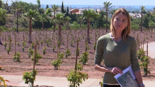 Los Lladró, de la porcelana al negocio del aguacate Los Lladró, de la porcelana al negocio del aguacate