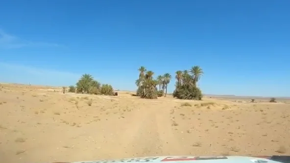 Fernando Alonso y Marc Coma, preparando el Rally de Marruecos