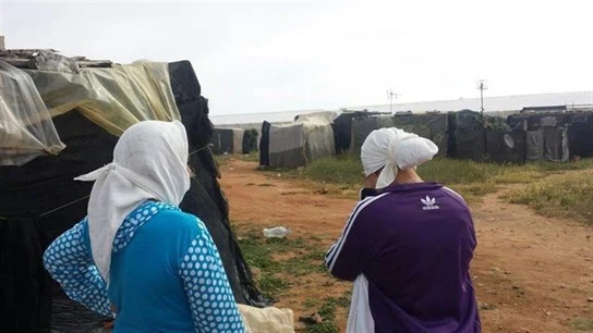 Asentamiento chabolista de Tierras de Almería en El Ejido Asentamiento chabolista de Tierras de Almería en El Ejido