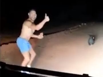 Imagen del momento en el que un policía apedra a un wómbat hasta causarle la muerte en Australia Imagen del momento en el que un policía apedra a un wómbat hasta causarle la muerte en Australia