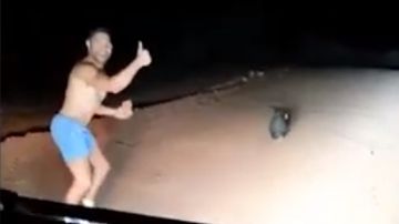 Imagen del momento en el que un policía apedra a un wómbat hasta causarle la muerte en Australia