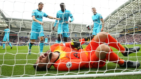 Hugo Lloris, con evidentes gestos de dolor Hugo Lloris, con evidentes gestos de dolor