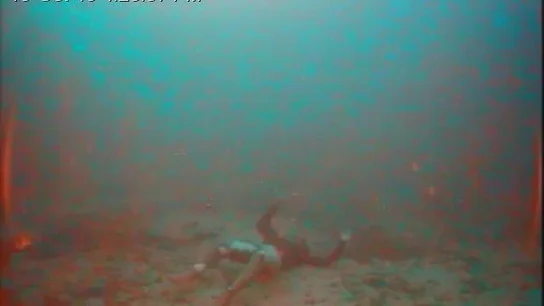 El cadáver de una persona tras un naufragio en Lampedusa El cadáver de una persona tras un naufragio en Lampedusa