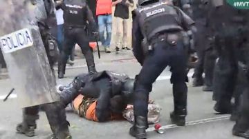 La Policía reduce a un manifestante