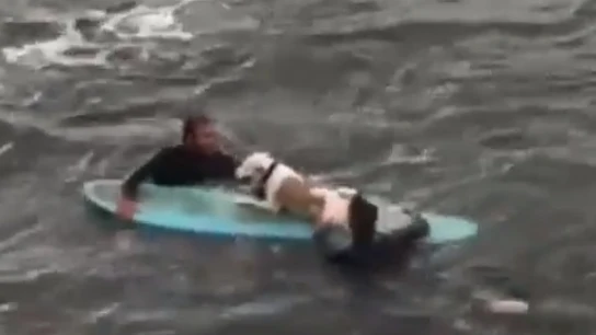 Dos surfistas logran rescatar a un perro en Getxo Dos surfistas logran rescatar a un perro en Getxo