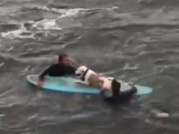 Dos surfistas logran rescatar a un perro en Getxo Dos surfistas logran rescatar a un perro en Getxo