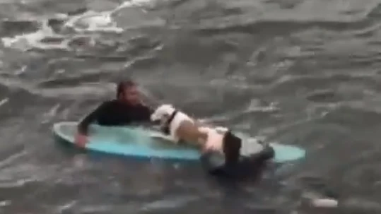 Dos surfistas logran rescatar a un perro en Getxo