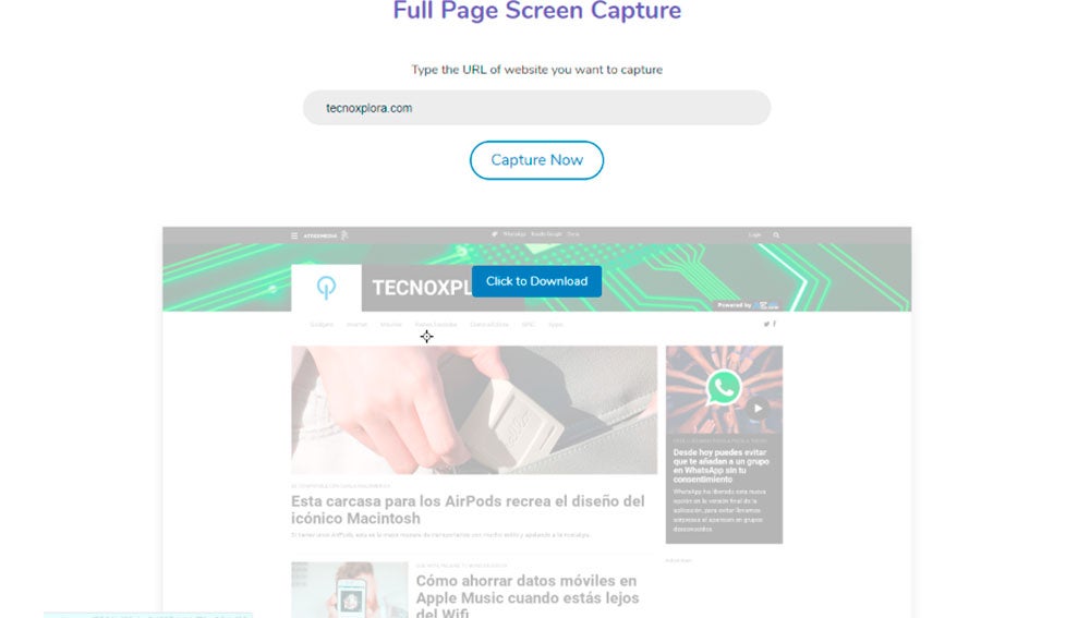 Capturando nuestra web