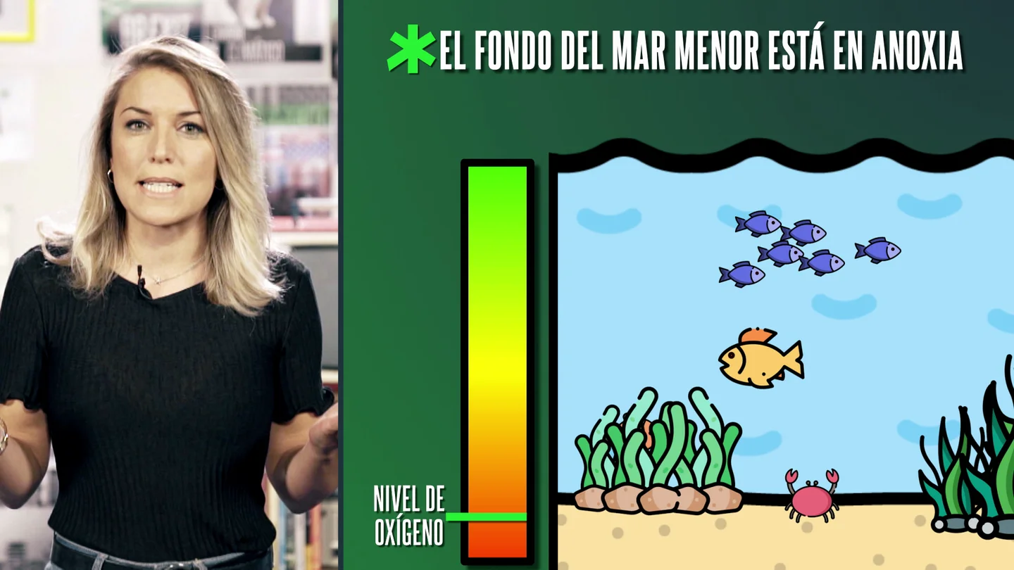 Ruth Rincón laSexta Xplica