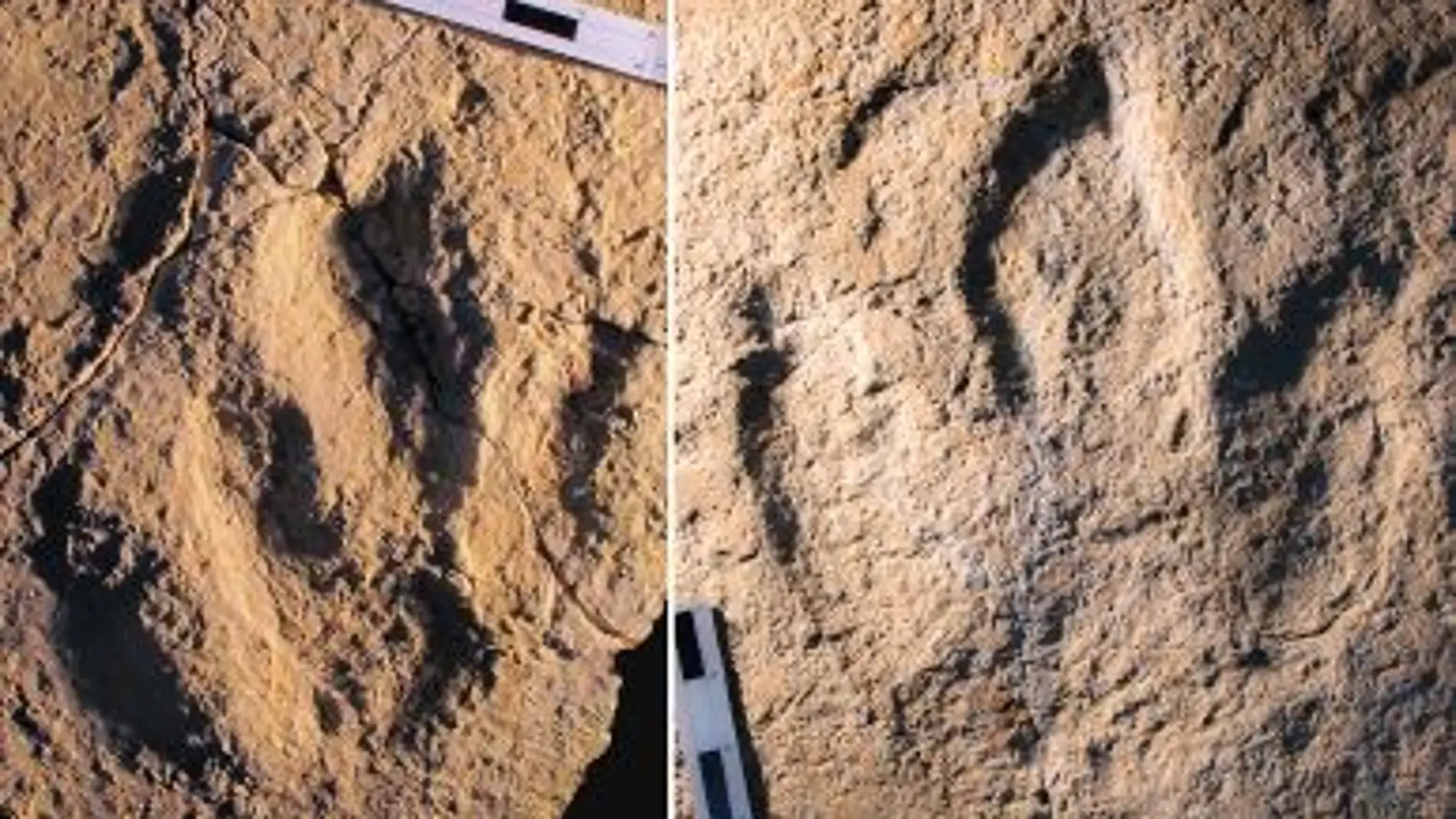 Los dinosaurios del Jurasico trotaban entre Africa y Europa