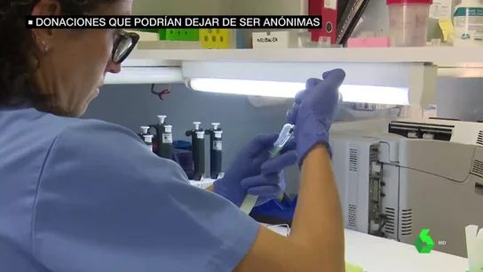 ADN con nombres y apellidos: los donantes de óvulos y esperma podrían abandonar el anonimato ADN con nombres y apellidos: los donantes de óvulos y esperma podrían abandonar el anonimato