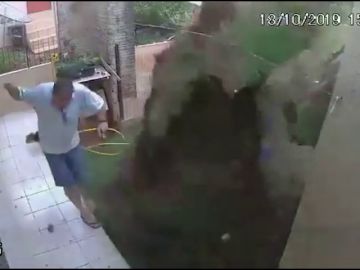 Trata de acabar con los bichos de su jardín y lo hace volar por los aires Trata de acabar con los bichos de su jardín y lo hace volar por los aires