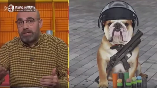 'Està passant' se refiere a los Mossos como "perros rabiosos" y "analfabetos" 'Està passant' se refiere a los Mossos como "perros rabiosos" y "analfabetos"