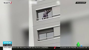 Una empleada de hogar arriesga su vida al limpiar los cristales de un sexto piso subida en la repisa de la ventana
