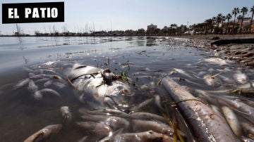 Mar Menor