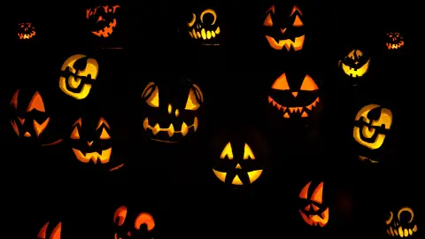 Halloween Halloween