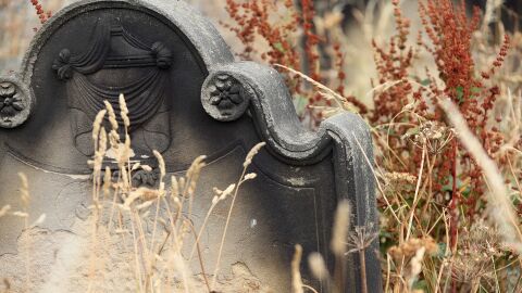 Halloween, Día de los Muertos o Día de Difuntos