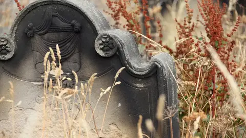 Halloween, Día de los Muertos o Día de Difuntos Halloween, Día de los Muertos o Día de Difuntos