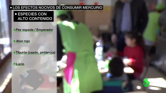 Pez espada, atún rojo o lucio: estos son los pescados con alto contenido en mercurio Pez espada, atún rojo o lucio: estos son los pescados con alto contenido en mercurio