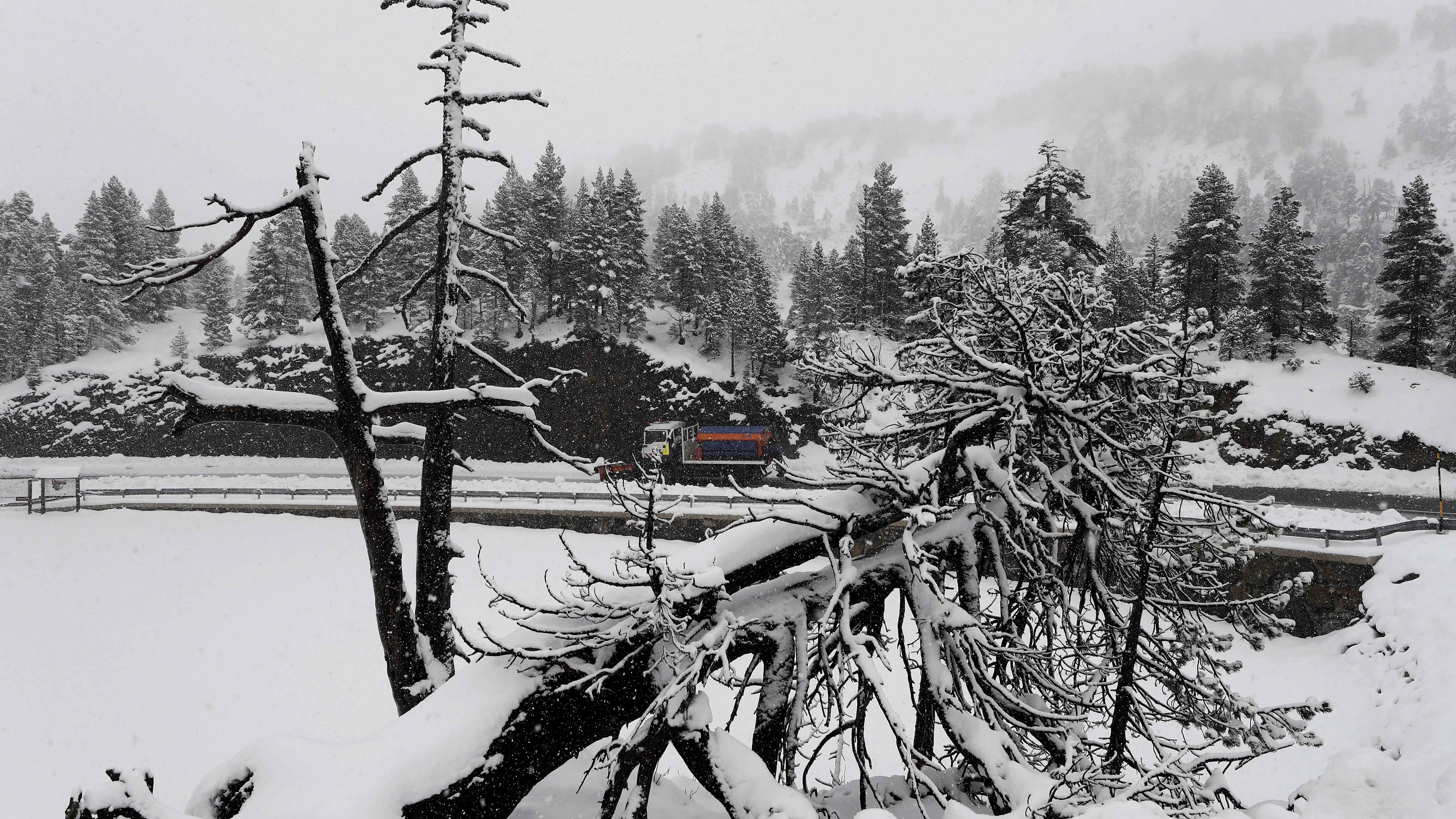 Primer temporal nieve en Navarra