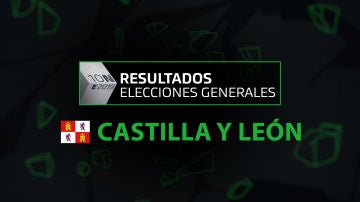 Resultados elecciones generales 10N en la comunidad de Castilla y León