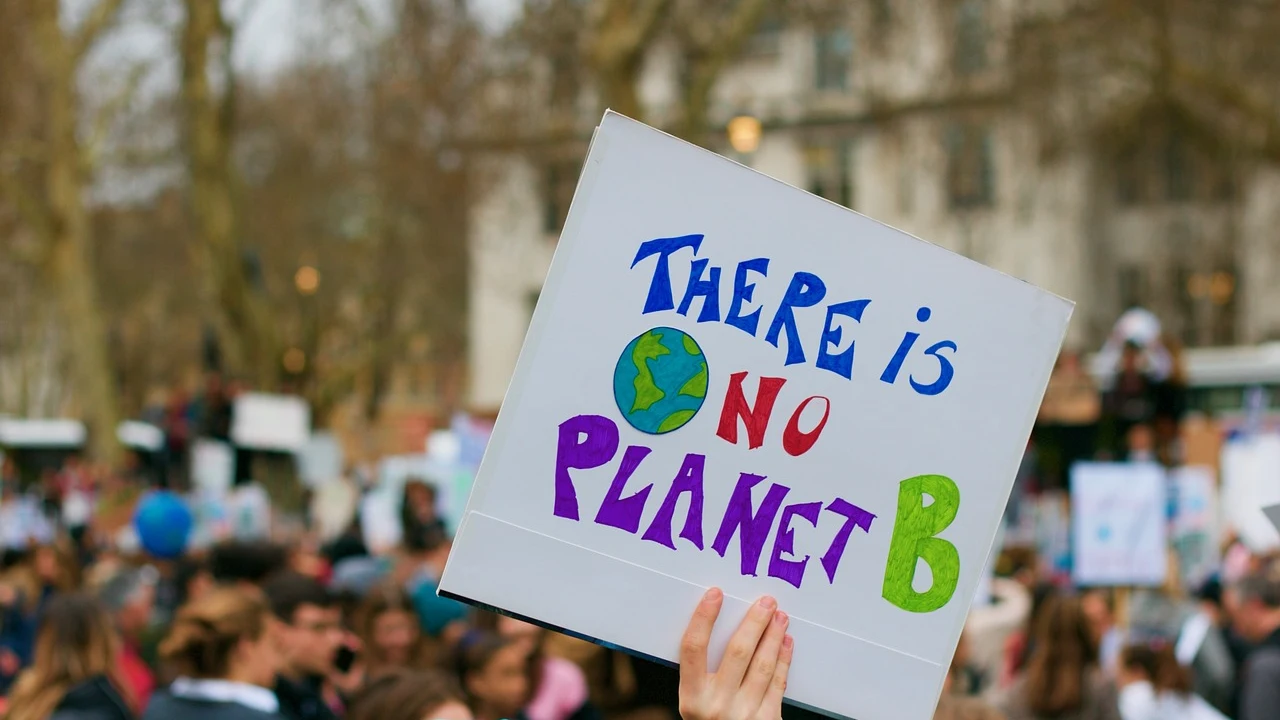 Fridays For Future