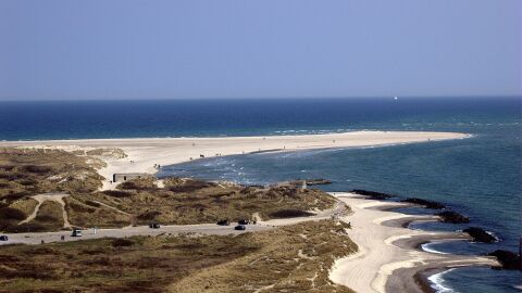 Grenen