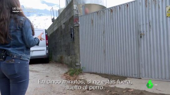 La amenaza de un empresario holandés a Equipo de Investigación en una granja de visones americanos: "