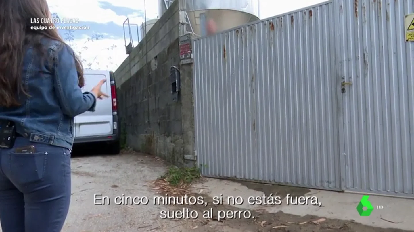 La amenaza de un empresario holandés a Equipo de Investigación en una granja de visones americanos: " La amenaza de un empresario holandés a Equipo de Investigación en una granja de visones americanos: "