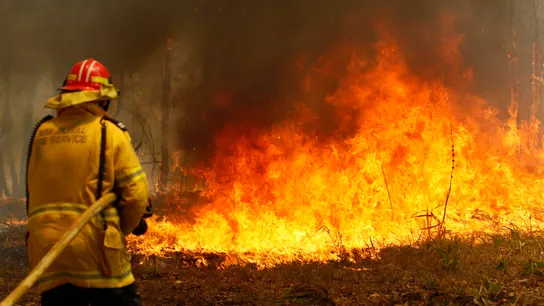 Oleada de incendios en Nueva Gales del Sur, en Australia Oleada de incendios en Nueva Gales del Sur, en Australia