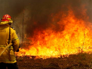Oleada de incendios en Nueva Gales del Sur, en Australia Oleada de incendios en Nueva Gales del Sur, en Australia