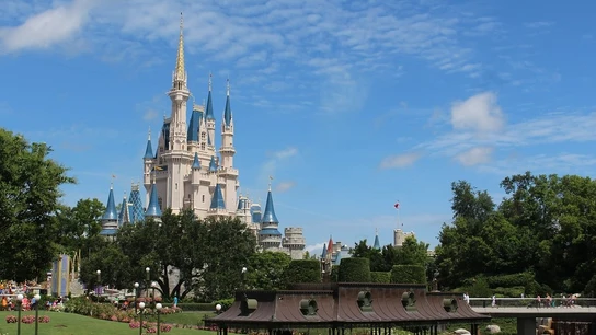 Walt Disney World (Archivo) Walt Disney World (Archivo)