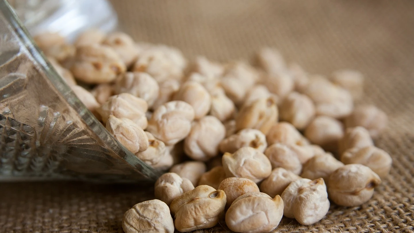 Garbanzos Garbanzos
