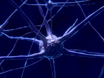 Neuronas Neuronas