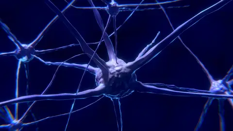 Neuronas Neuronas