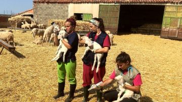 Jovenes participantes del programa