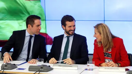 Pablo Casado en la reunión del Comité Ejecutivo Nacional Pablo Casado en la reunión del Comité Ejecutivo Nacional
