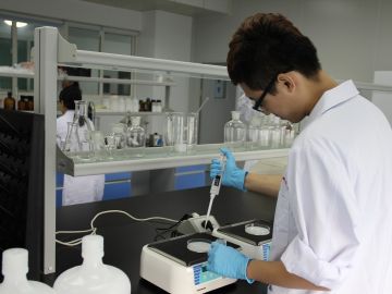 Laboratorio Laboratorio