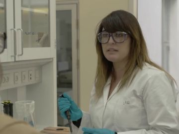 El sistema educativo es un pilar del estado del bienestar y del modelo productivo en Dinamarca El sistema educativo es un pilar del estado del bienestar y del modelo productivo en Dinamarca