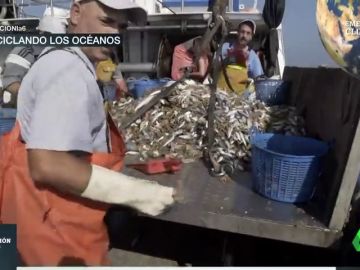 El plástico mata nuestros mares: así luchan contra él en el Mediterráneo El plástico mata nuestros mares: así luchan contra él en el Mediterráneo